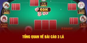 giới thiệu về bài cào 3 lá